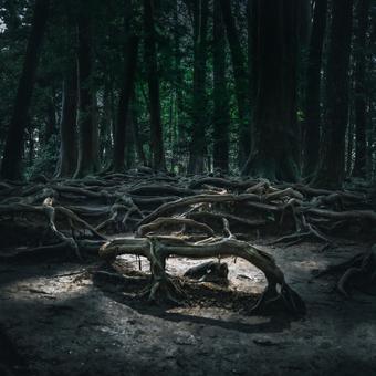 Photo, natural, the scenery, landscape, 