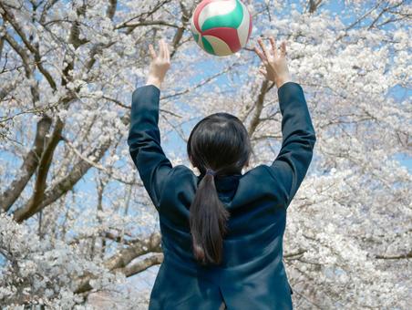中学の部活動 バレーボール,中学生,女子の写真素材