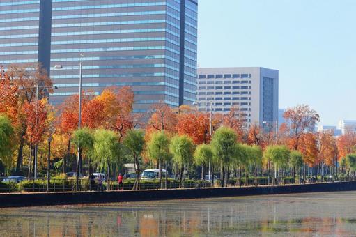 紅葉の並木と法務省と警視庁とお堀　２ 紅葉,官庁街,霞が関の写真素材