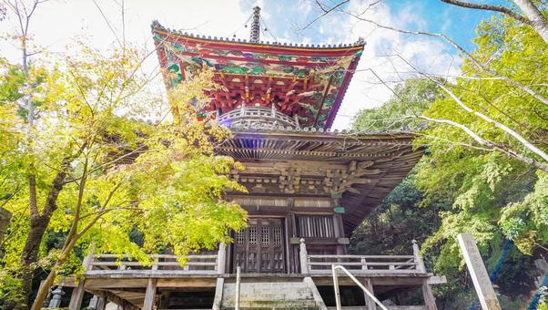 熊谷寺 紅葉と多宝塔 熊谷寺 紅葉と多宝塔の写真
