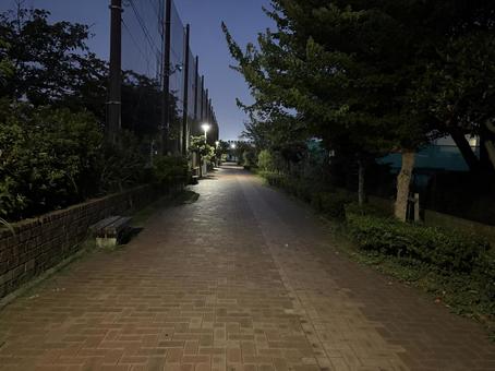夕方の道 夕方の道の写真
