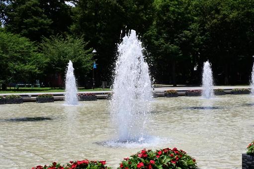 噴水のある公園 噴水のある公園の写真