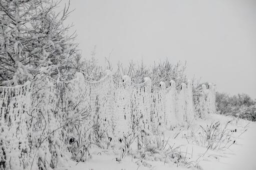 降雪の朝、雪に埋もれた、畑を囲むフェンス 雪景色,降雪の朝,幻想的の写真素材