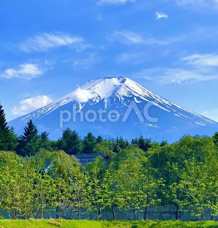 富士山 富士山,富士吉田,山梨の写真素材