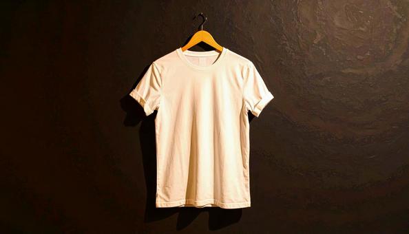 白いTシャツ 白いTシャツの写真