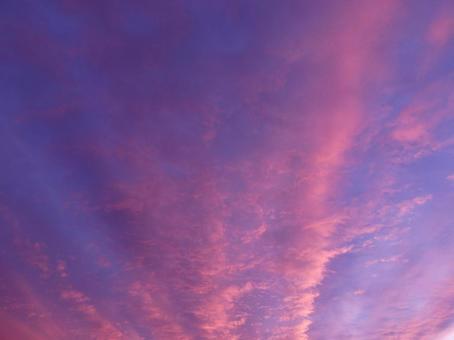 秋の空：11月上旬、爆発したような空A 夕焼け,夕方,空の写真素材