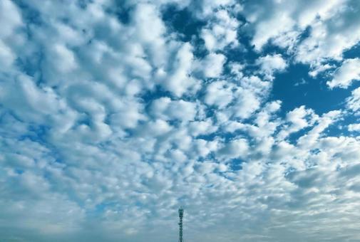 【空の写真】見上げた空 【空の写真】見上げた空の写真
