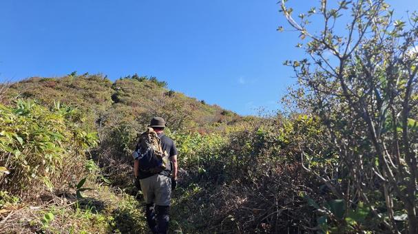 紅葉の登山道を歩く登山者 紅葉の登山道を歩く登山者 登山,縦走,登山者の写真素材