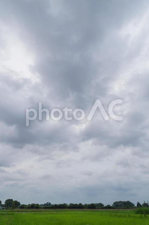 6月の瓦葺の朝 朝景,早朝,田んぼの写真素材