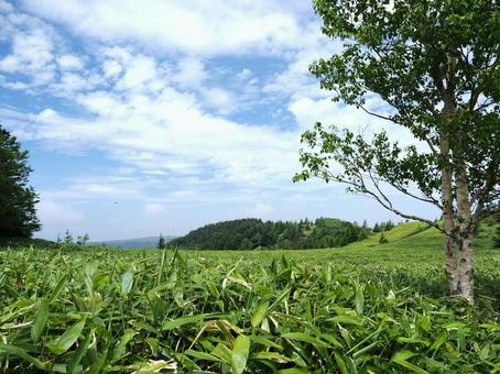 風景素材・晴れた日の草原 風景素材・晴れた日の草原の写真
