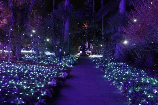 江ノ島イルミネーション 江ノ島イルミネーション,イルミネーション,江ノ島の写真素材