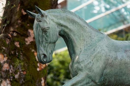 うま２ うま,午年,馬事公苑の写真素材