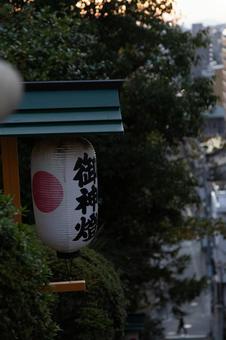 提灯 提灯,日本,和の写真素材