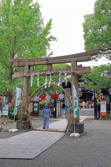 稲毛神社(川崎) 稲毛神社(川崎)の写真