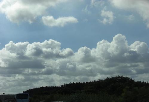 八月の雲-7 八月の雲-7の写真