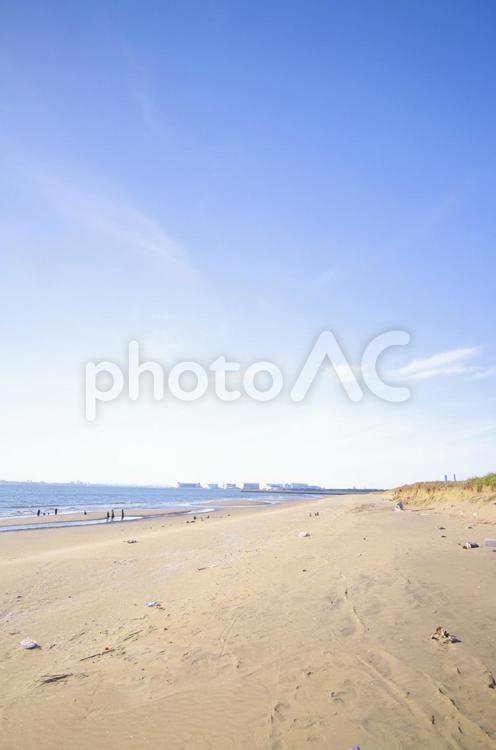 幕張海浜公園 幕張海浜公園 幕張海浜公園,海,幕張の写真素材