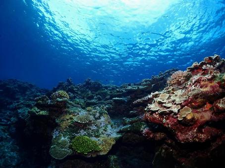 沖縄の海の写真
