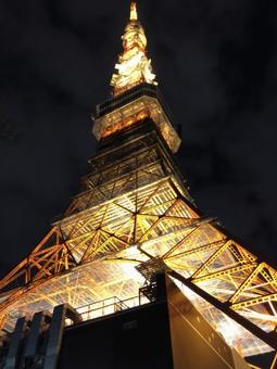東京タワー 東京タワーの写真