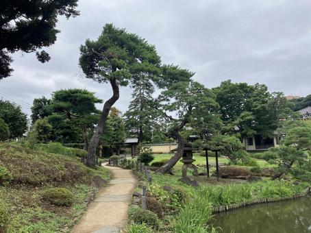 肥後細川庭園の庭園風景 肥後細川庭園の庭園風景 肥後細川庭園,肥後,細川庭園の写真素材