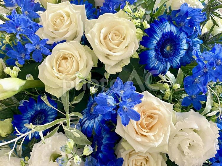 白と青のフラワーアレンジメント フラワーアレンジメント,花束,白い花の写真素材