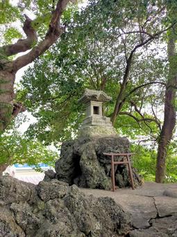 夏の飯香岡八幡宮 夏の飯香岡八幡宮の写真