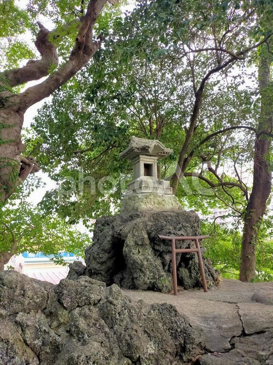 夏の飯香岡八幡宮 飯香岡八幡宮,神社,歴史の写真素材