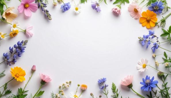 野花が囲む白背景の写真