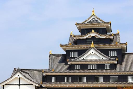 岡山城 岡山城,城,お城の写真素材