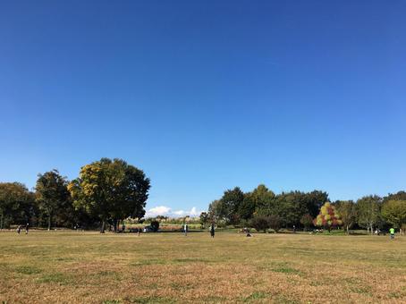 公園 秋 冬 公園 秋 冬 公園,秋,冬の写真素材