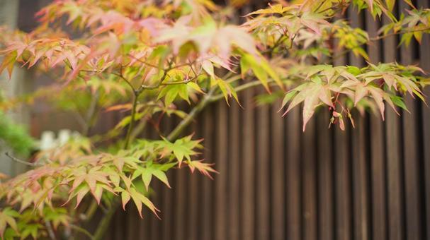 Photo, background, material, road, 