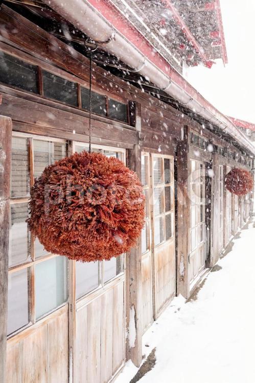 青森県黒石市・冬の中町こみせ通りの杉玉 黒石,こみせ,中町こみせ通りの写真素材