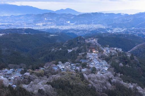 吉野山　早朝　夜明けの写真