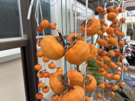 干し柿 干し柿,柿,秋の写真素材