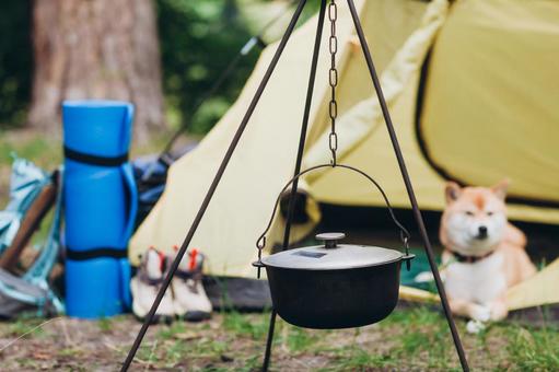 森のキャンプ場で犬とテント 犬,テント,キャンプの写真素材