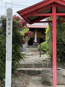 25_1111_猫塚古墳01 宮城県,仙台市,若林区の写真素材