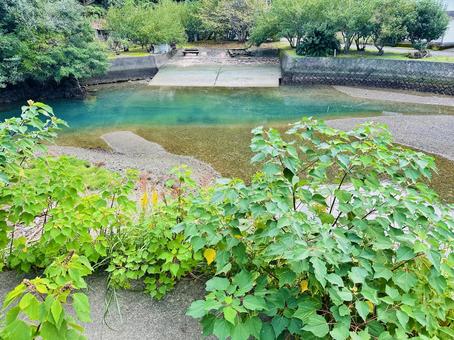 地方の河川敷 地方の河川敷 自然,河川,風景の写真素材
