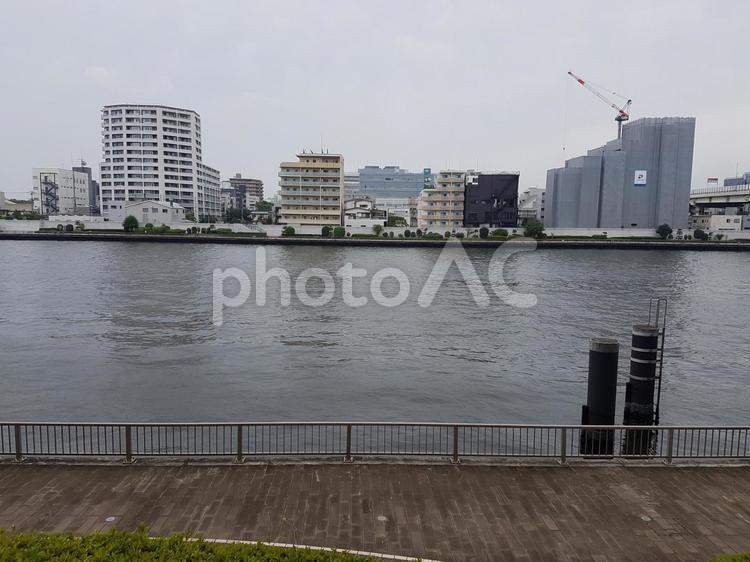 台風の日の隅田川 隅田川,台風,風の写真素材