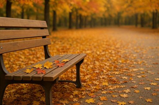 落ち葉とベンチの写真