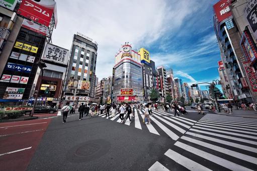 新宿歌舞伎町交差点の横断歩道 新宿歌舞伎町交差点の横断歩道 新宿,歌舞伎町,交差点の写真素材