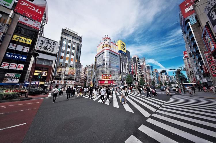 新宿歌舞伎町交差点の横断歩道 新宿,歌舞伎町,交差点の写真素材