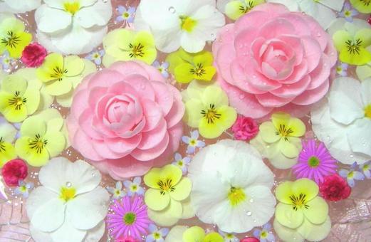 春天的花朵, JPG 春天的花朵, स्प्रिंग फूल, फूल, पौधा, JPG