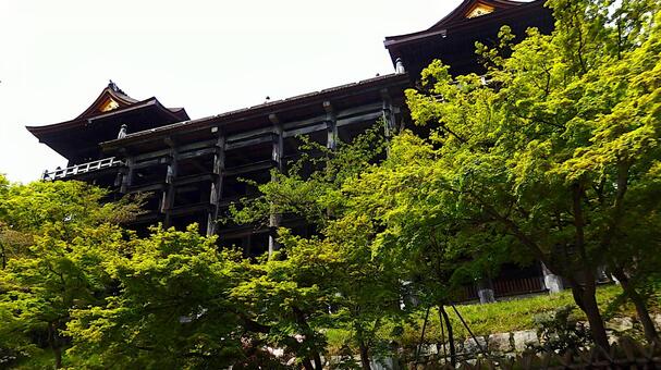 清水寺 懸造 木組み 基礎 舞台 清水寺,基礎,木組みの写真素材