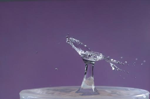 水滴百変化の写真