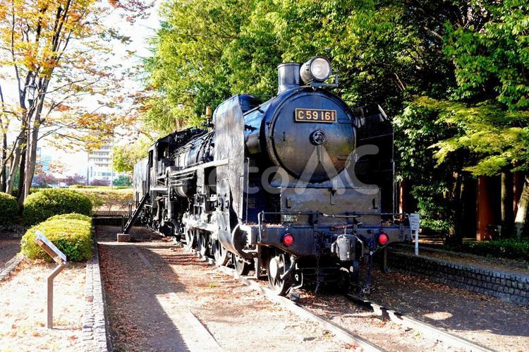 広島市中央公園の蒸気機関車C59161 鉄道,蒸気,機関車の写真素材