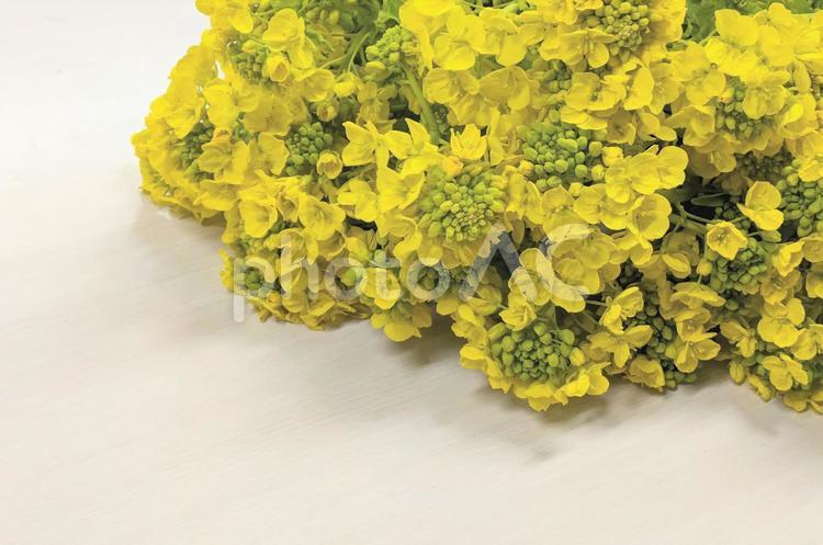 満開の菜の花の花束８ 菜の花,なのはな,背景の写真素材