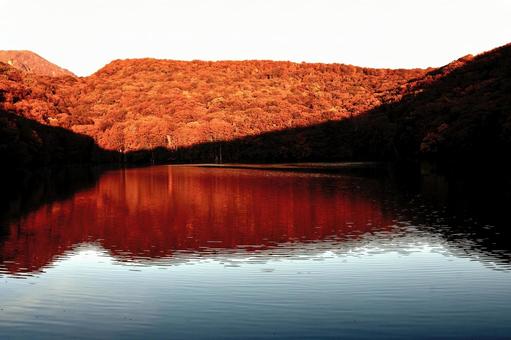 紅い沼 紅葉,秋,観光の写真素材