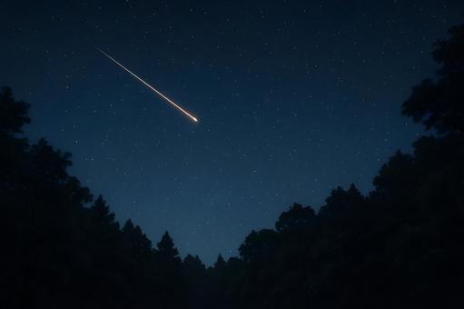 森の夜空を駆ける流星 森の夜空を駆ける流星の写真