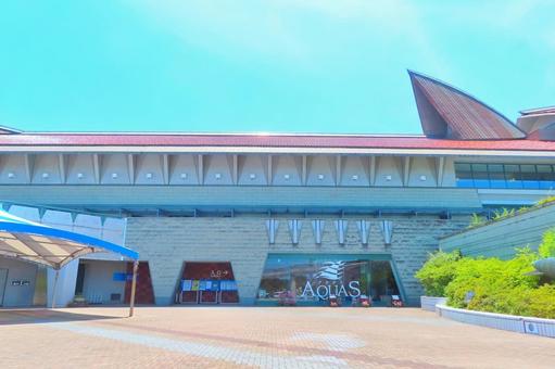 島根県立しまね海洋館アクアス 島根県立しまね海洋館アクアス 泳ぐ,水族館,イルカの写真素材