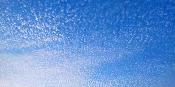 透き通る空 透き通る空 空,秋,秋空の写真素材