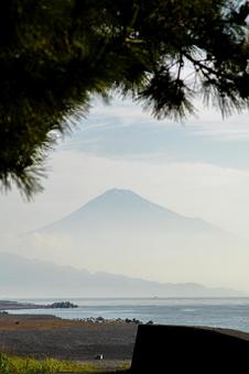 三保松原海岸 三保松原海岸の写真